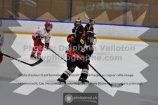 ref. photo 3541032
