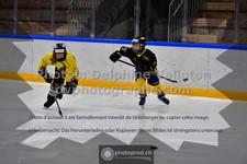 ref. photo 3541045