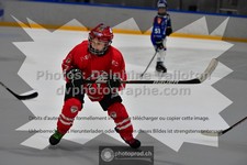 ref. photo 3541055