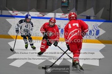 ref. photo 3541061