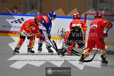 ref. photo 3541097