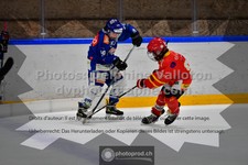 ref. photo 3541098