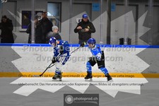 ref. photo 3541115