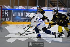 ref. photo 3541118