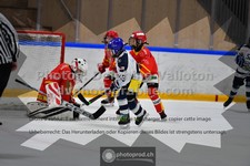 ref. photo 3541129