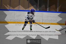 ref. photo 3541131