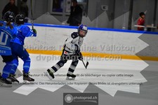 ref. photo 3541147