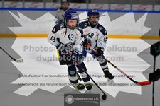 ref. photo 3541148