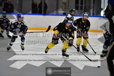 ref. photo 3541151