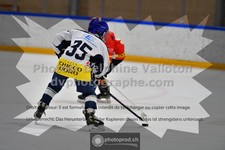 ref. photo 3541160
