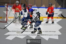 ref. photo 3541162