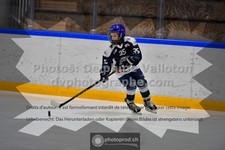 ref. photo 3541185