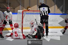 ref. photo 3541206