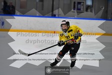 ref. photo 3541214