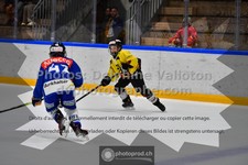 ref. photo 3541215