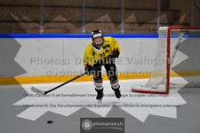 ref. photo 3541219