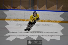 ref. photo 3541221