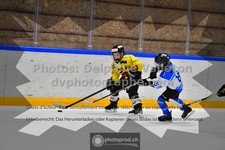 ref. photo 3541223