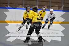 ref. photo 3541229