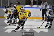 ref. photo 3541233
