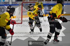 ref. photo 3541236
