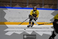 ref. photo 3541248