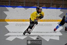 ref. photo 3541249