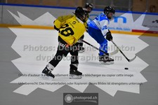 ref. photo 3541250