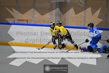 ref. photo 3541252