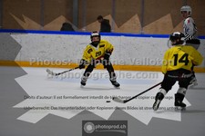 ref. photo 3541255