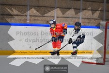 ref. photo 3541295