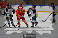 ref. photo 3541301