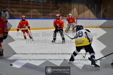 ref. photo 3541316