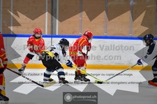 ref. photo 3541322