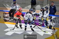 ref. photo 3541325