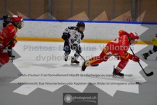 ref. photo 3541331