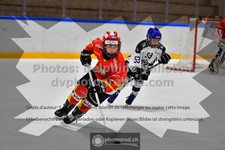 ref. photo 3541349