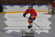 ref. photo 3541351