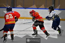 ref. photo 3541352
