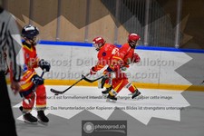 ref. photo 3541360