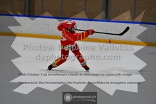 ref. photo 3541369