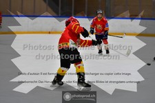 ref. photo 3541373