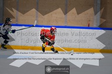 ref. photo 3541380