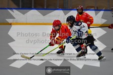 ref. photo 3541391