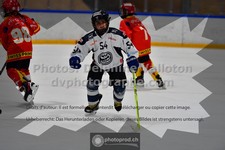 ref. photo 3541393