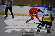 ref. photo 3541395