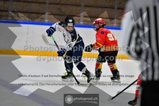 ref. photo 3541401