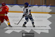 ref. photo 3541402