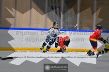 ref. photo 3541403