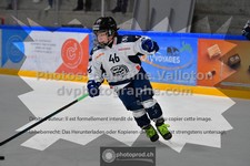 ref. photo 3541406